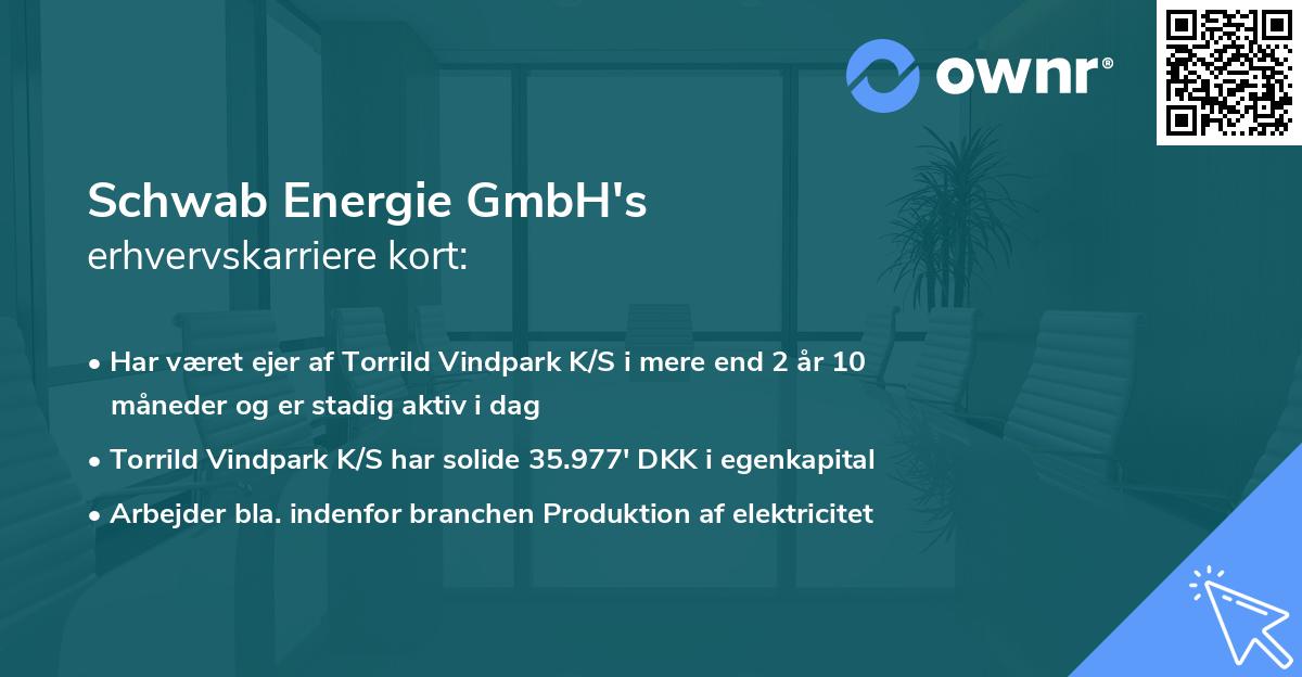 Schwab Energie GmbH's erhvervskarriere kort