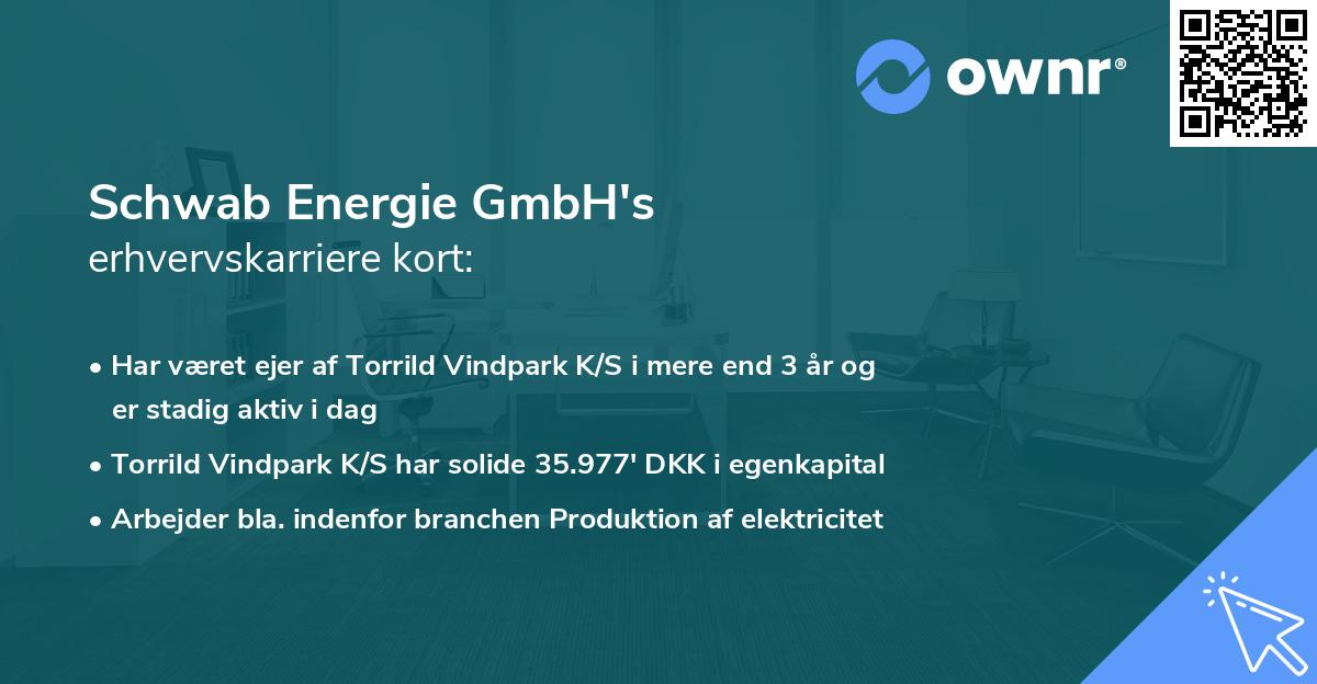 Schwab Energie GmbH's erhvervskarriere kort