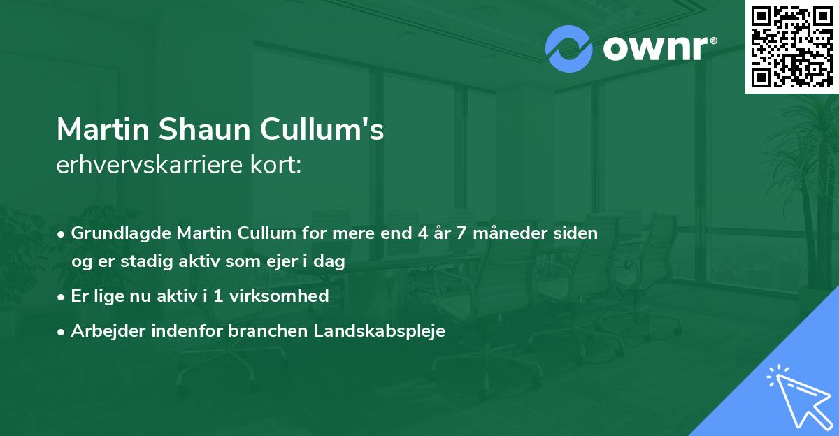 Martin Shaun Cullum's erhvervskarriere kort