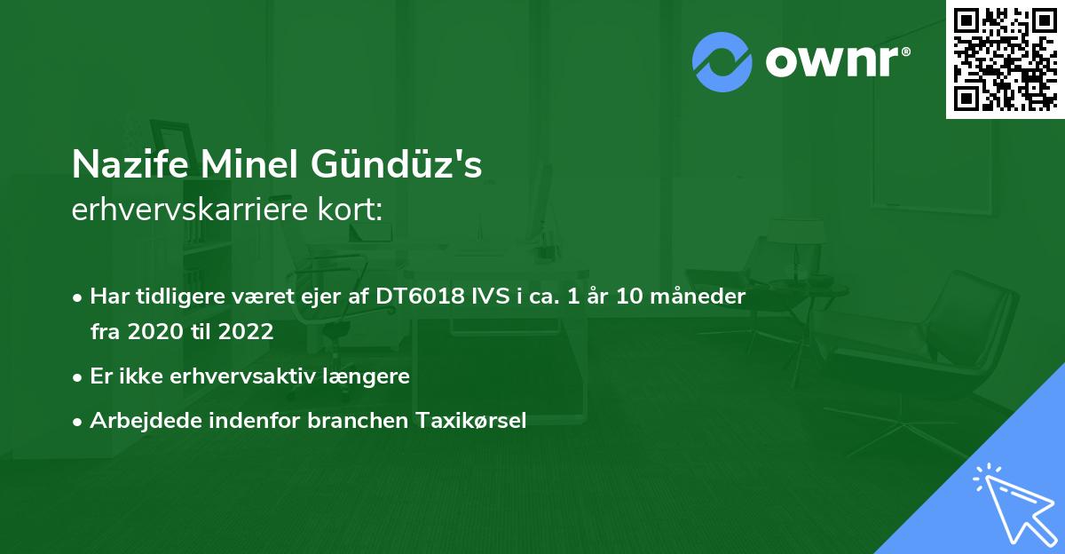 Nazife Minel Gündüz's erhvervskarriere kort