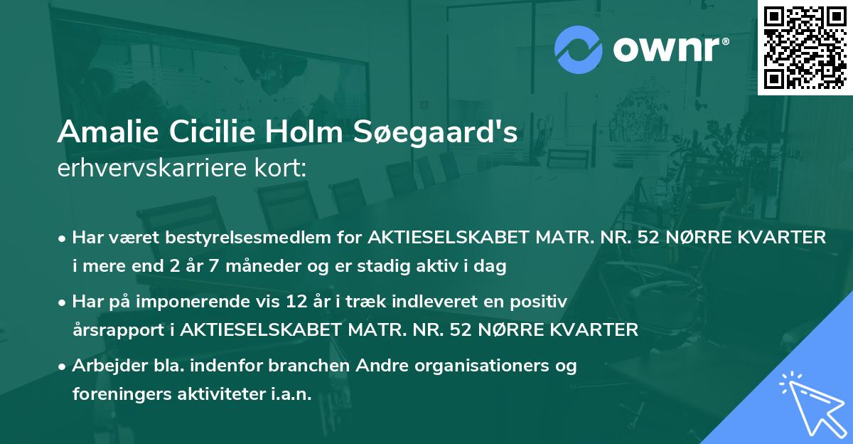 Amalie Cicilie Holm Søegaard's erhvervskarriere kort