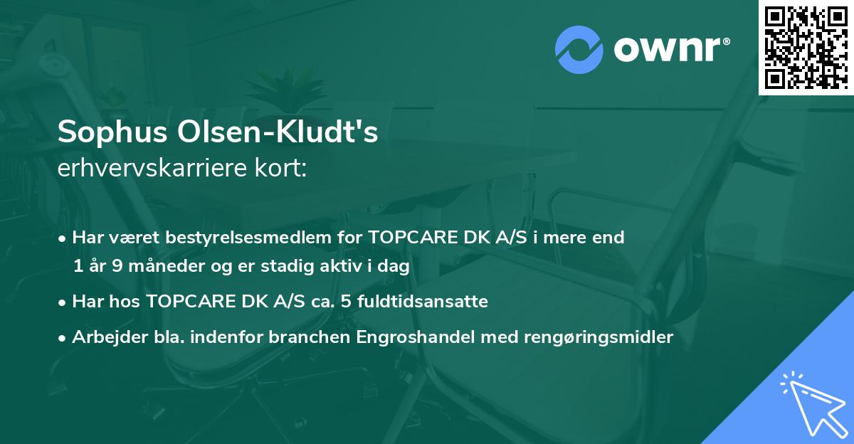 Sophus Olsen-Kludt's erhvervskarriere kort