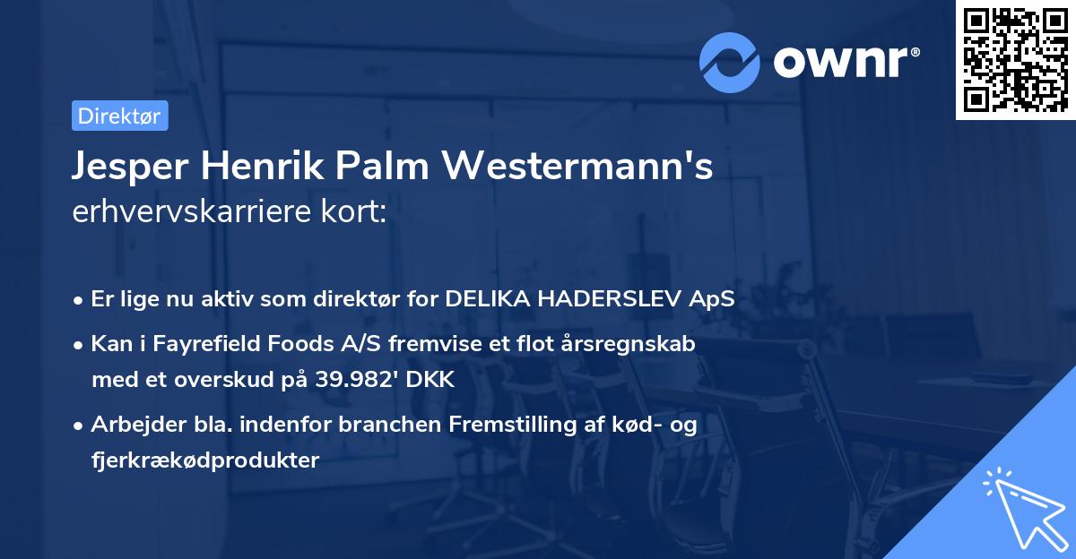 Jesper Henrik Palm Westermann's erhvervskarriere kort