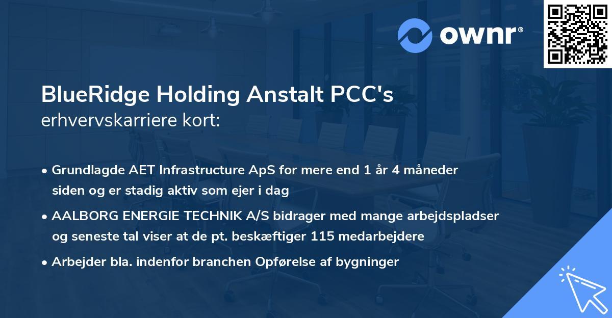 BlueRidge Holding Anstalt PCC's erhvervskarriere kort