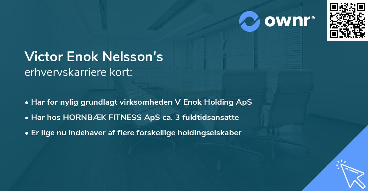 Victor Enok Nelsson's erhvervskarriere kort