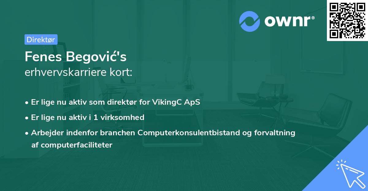 Fenes Begović's erhvervskarriere kort