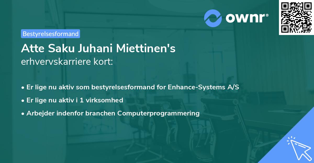 Atte Saku Juhani Miettinen's erhvervskarriere kort