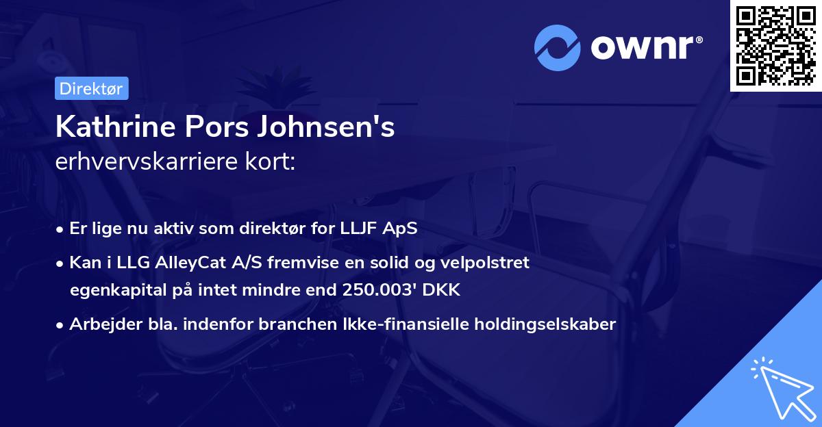 Kathrine Pors Johnsen's erhvervskarriere kort
