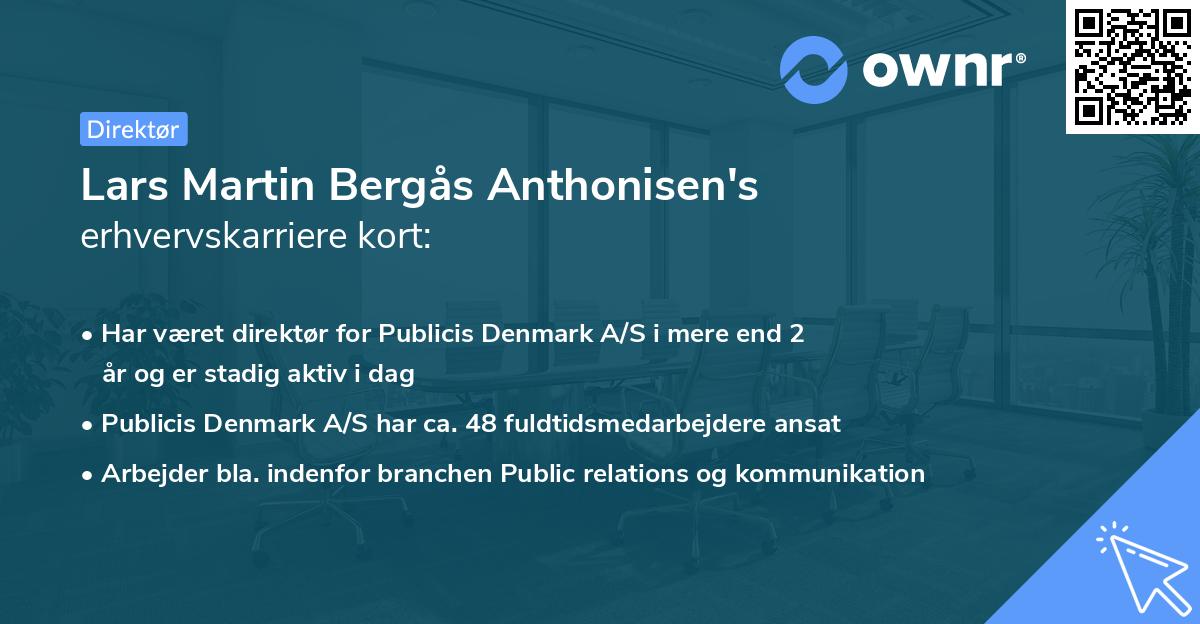 Lars Martin Bergås Anthonisen's erhvervskarriere kort