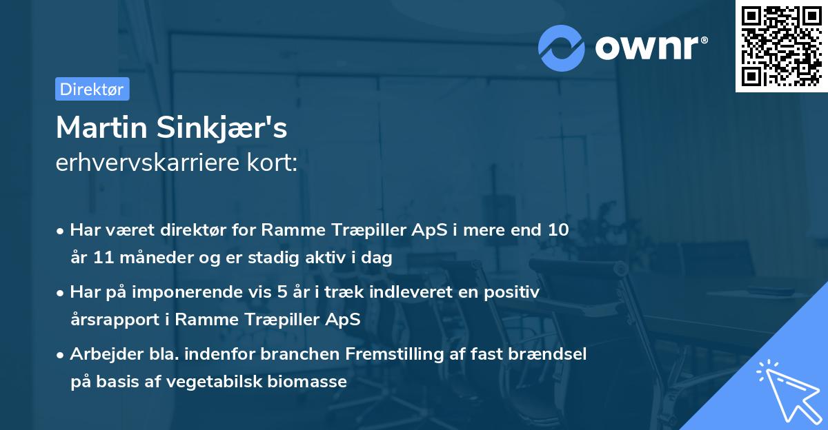 Martin Sinkjær's erhvervskarriere kort