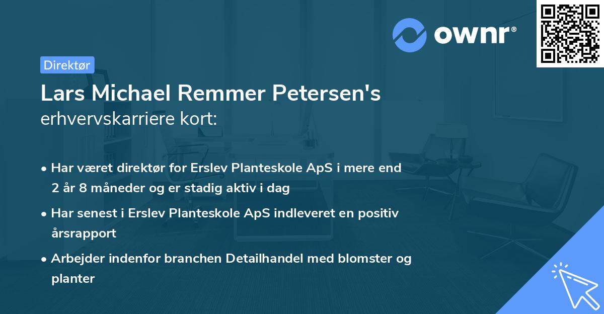 Lars Michael Remmer Petersen's erhvervskarriere kort