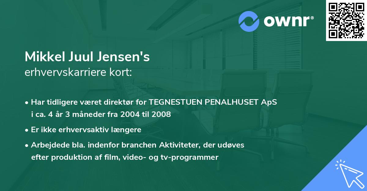 Mikkel Juul Jensen's erhvervskarriere kort