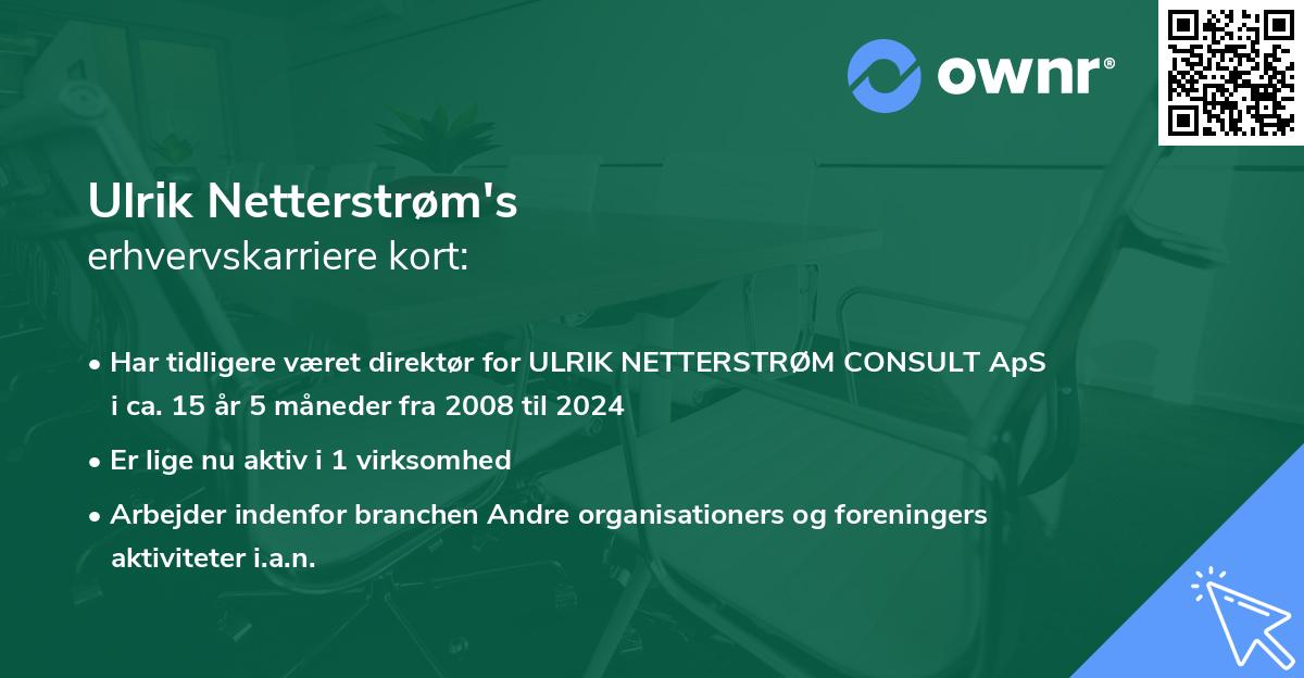Ulrik Netterstrøm's erhvervskarriere kort
