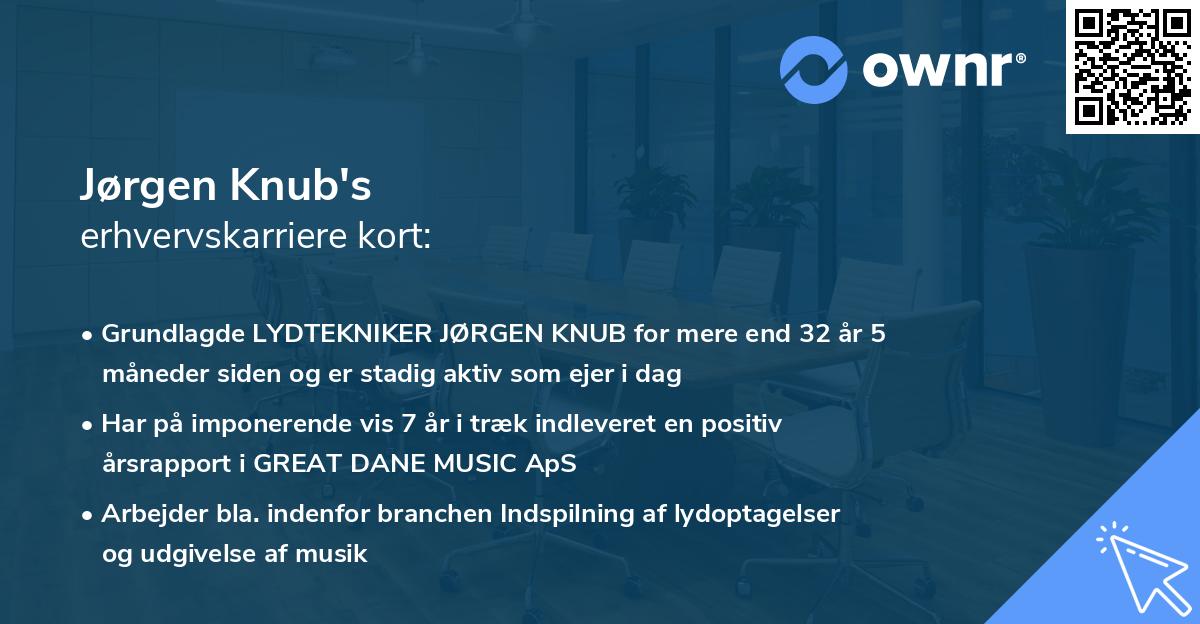 Jørgen Knub's erhvervskarriere kort