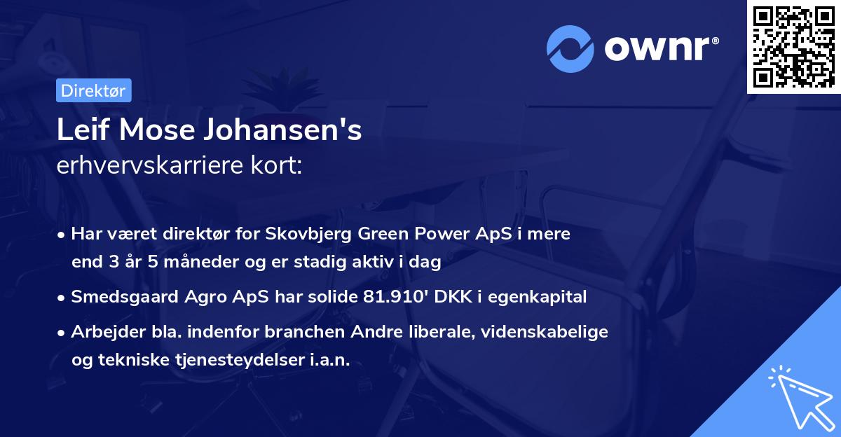 Leif Mose Johansen's erhvervskarriere kort