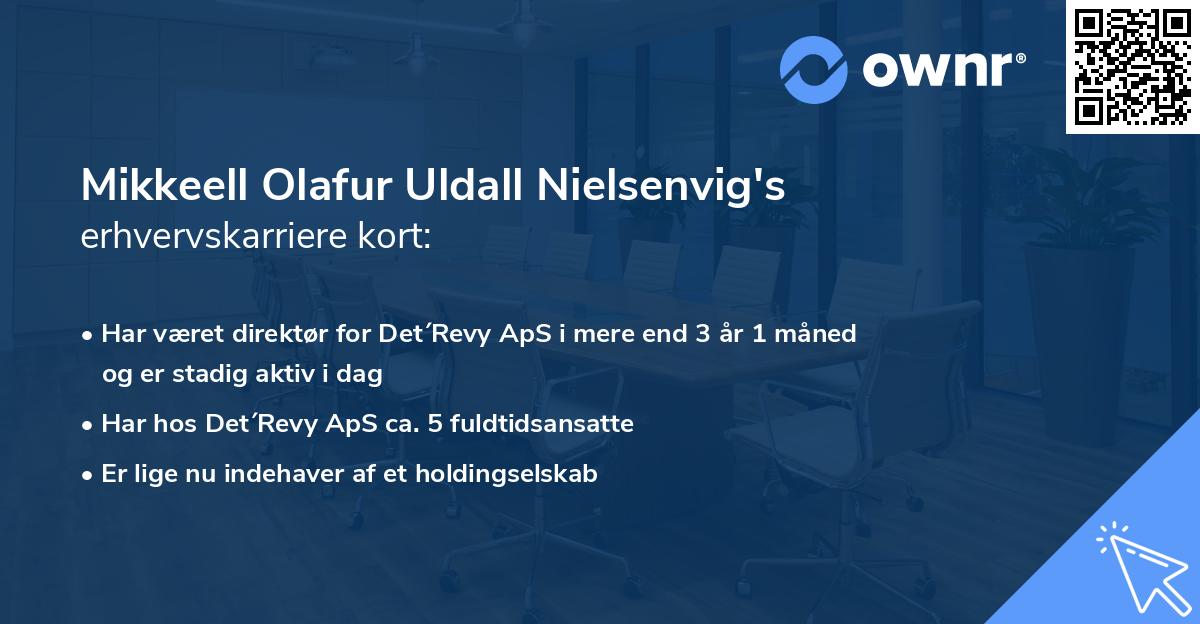 Mikkeell Olafur Uldall Nielsenvig's erhvervskarriere kort