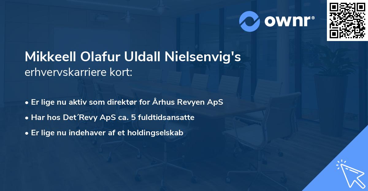 Mikkeell Olafur Uldall Nielsenvig's erhvervskarriere kort