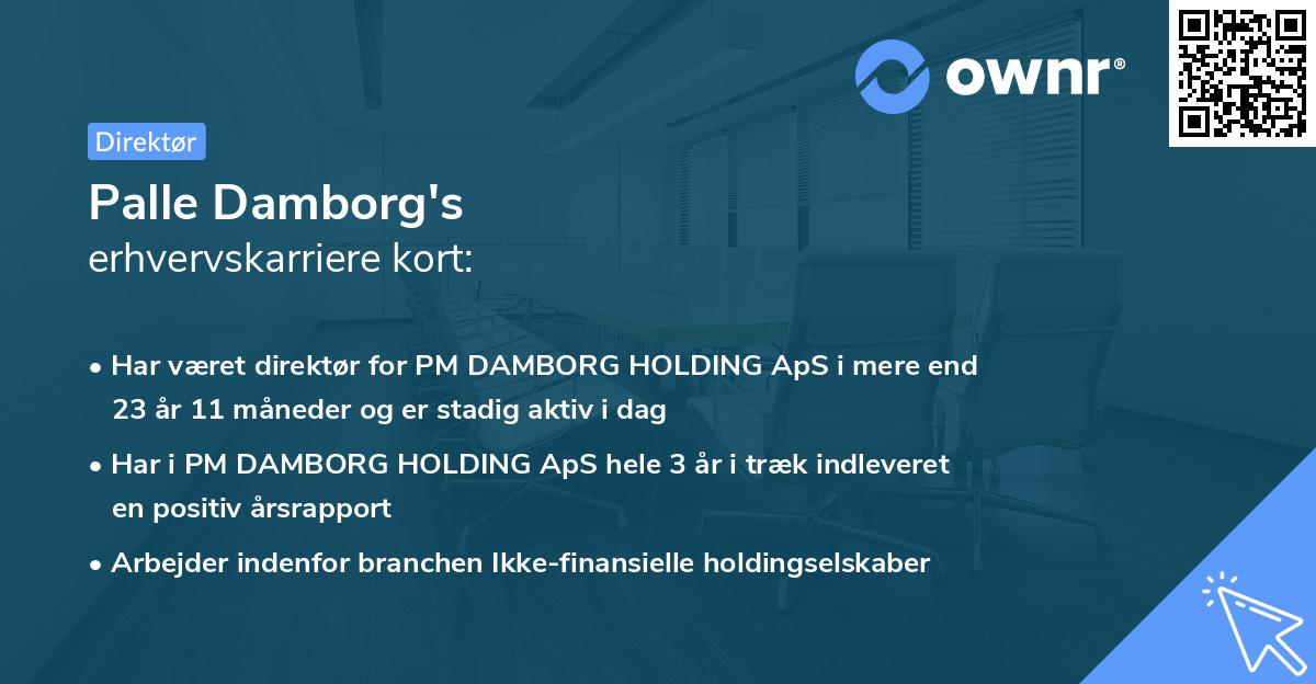 Palle Damborg's erhvervskarriere kort