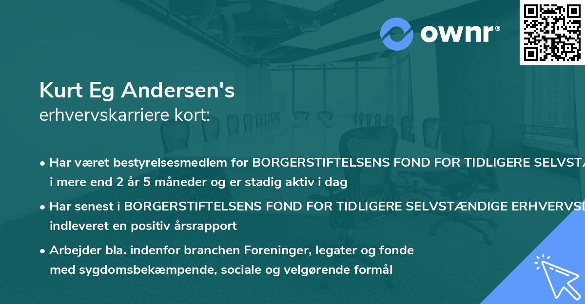 Kurt Eg Andersen's erhvervskarriere kort