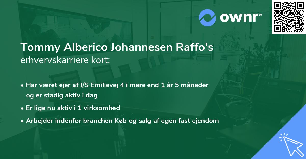 Tommy Alberico Johannesen Raffo's erhvervskarriere kort