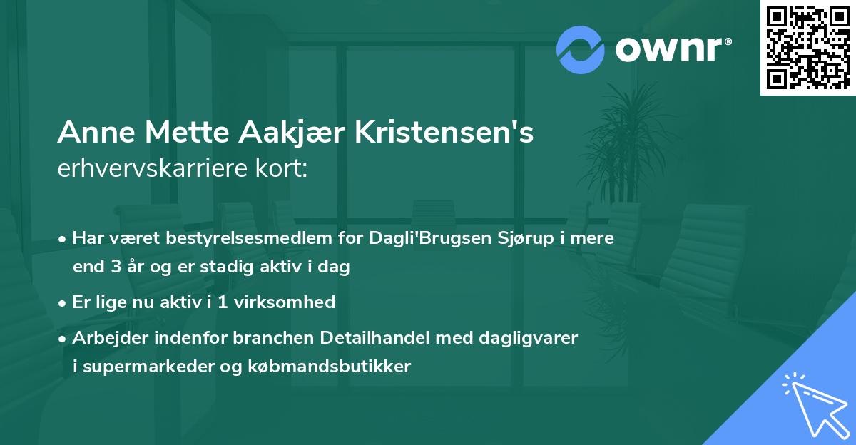 Anne Mette Aakjær Kristensen's erhvervskarriere kort