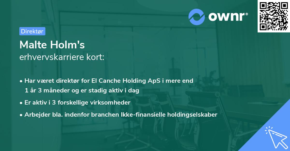 Malte Holm's erhvervskarriere kort