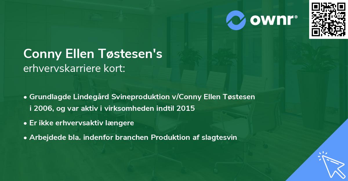 Conny Ellen Tøstesen's erhvervskarriere kort