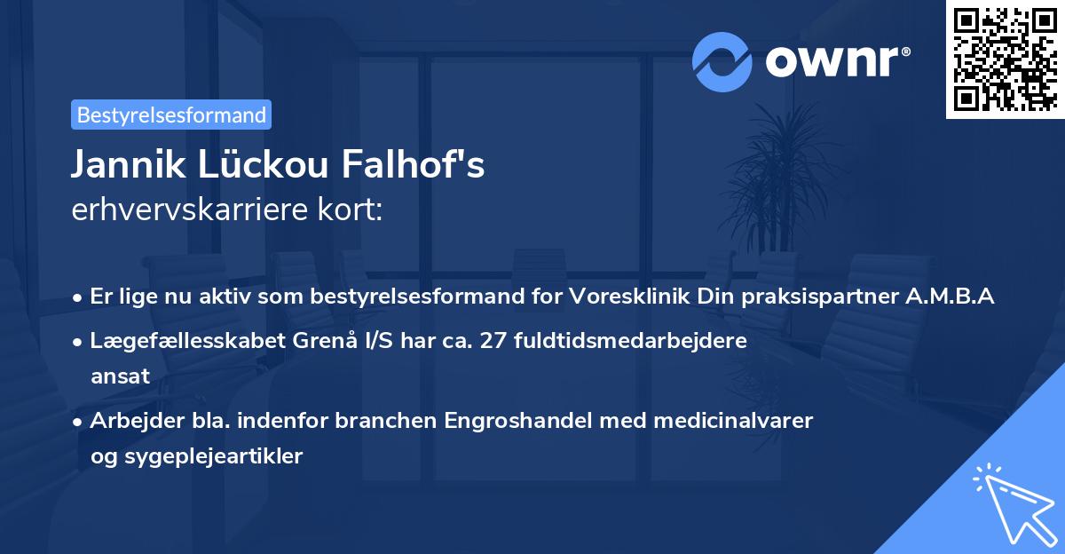 Jannik Lückou Falhof's erhvervskarriere kort