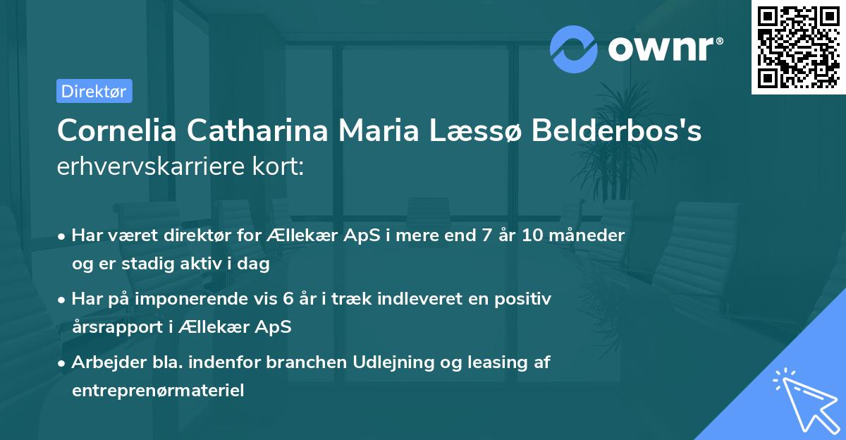 Cornelia Catharina Maria Læssø Belderbos's erhvervskarriere kort