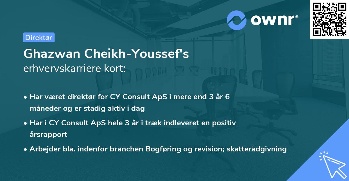 Ghazwan Cheikh-Youssef's erhvervskarriere kort