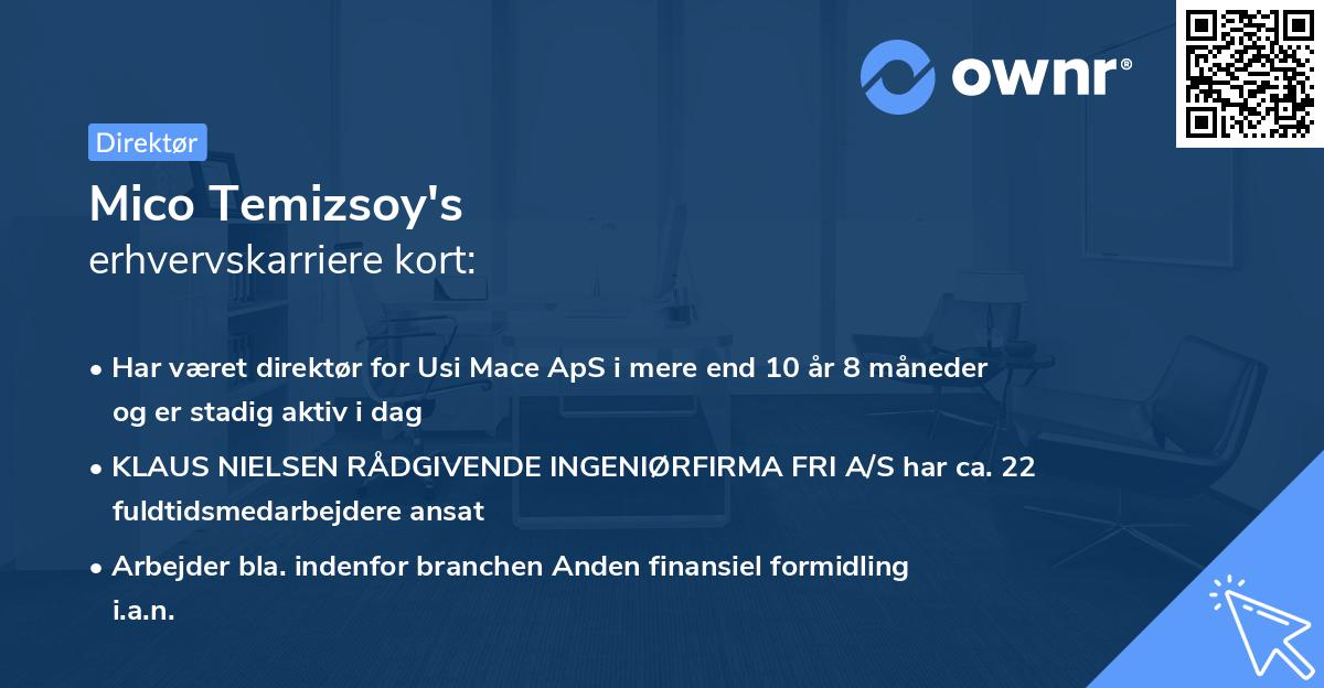 Mico Temizsoy's erhvervskarriere kort
