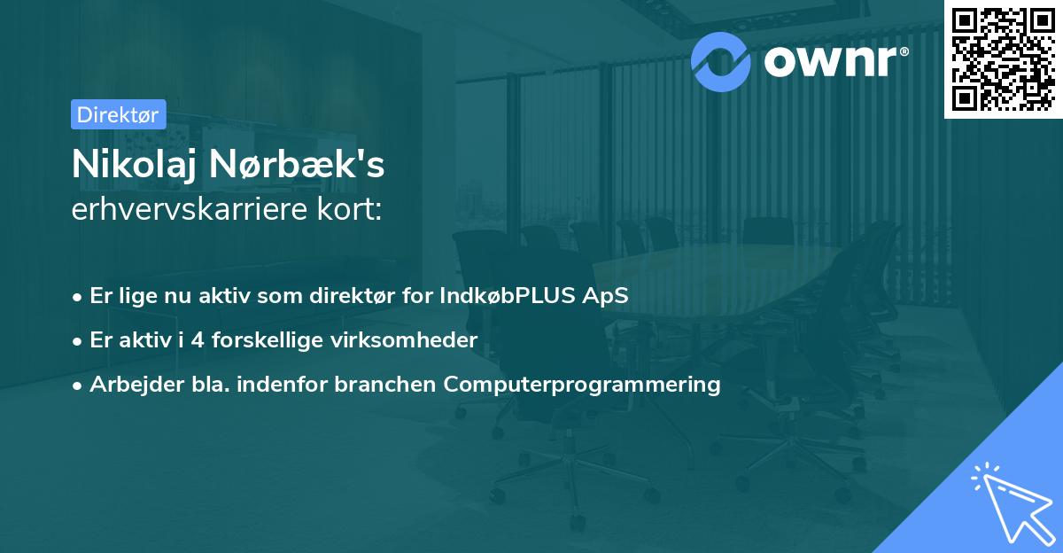 Nikolaj Nørbæk's erhvervskarriere kort