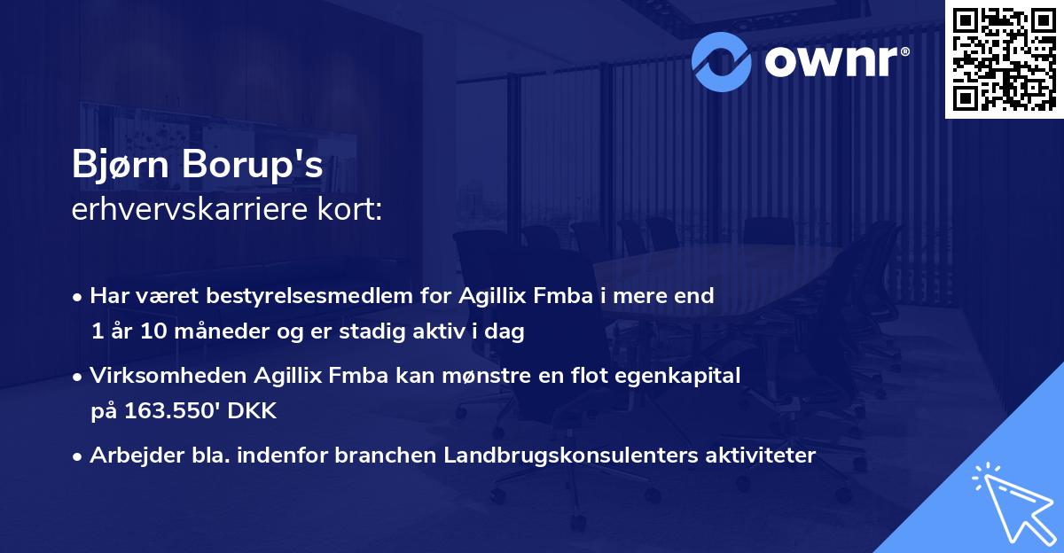 Bjørn Borup's erhvervskarriere kort