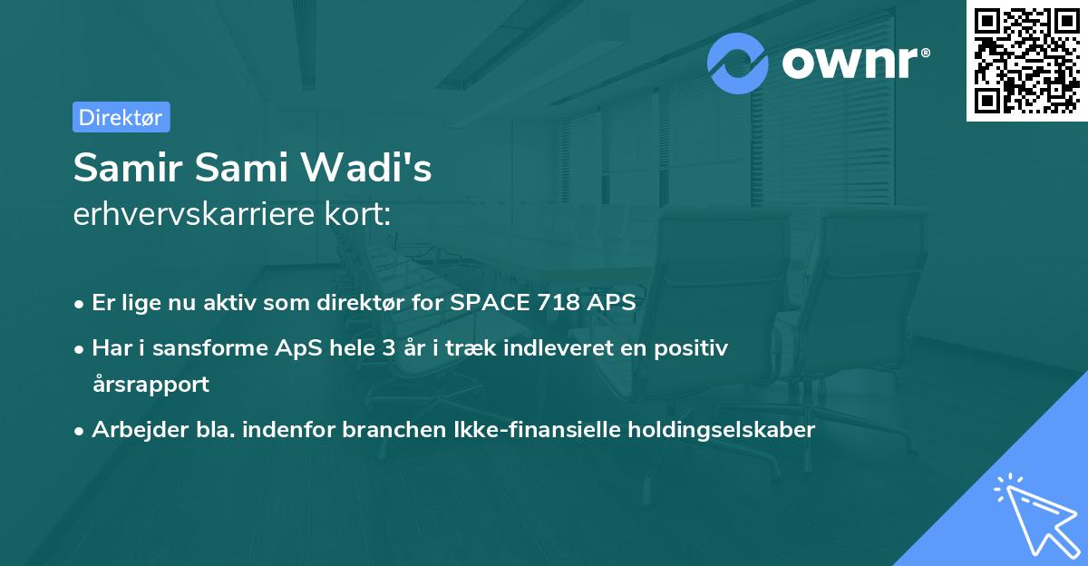 Samir Sami Wadi's erhvervskarriere kort