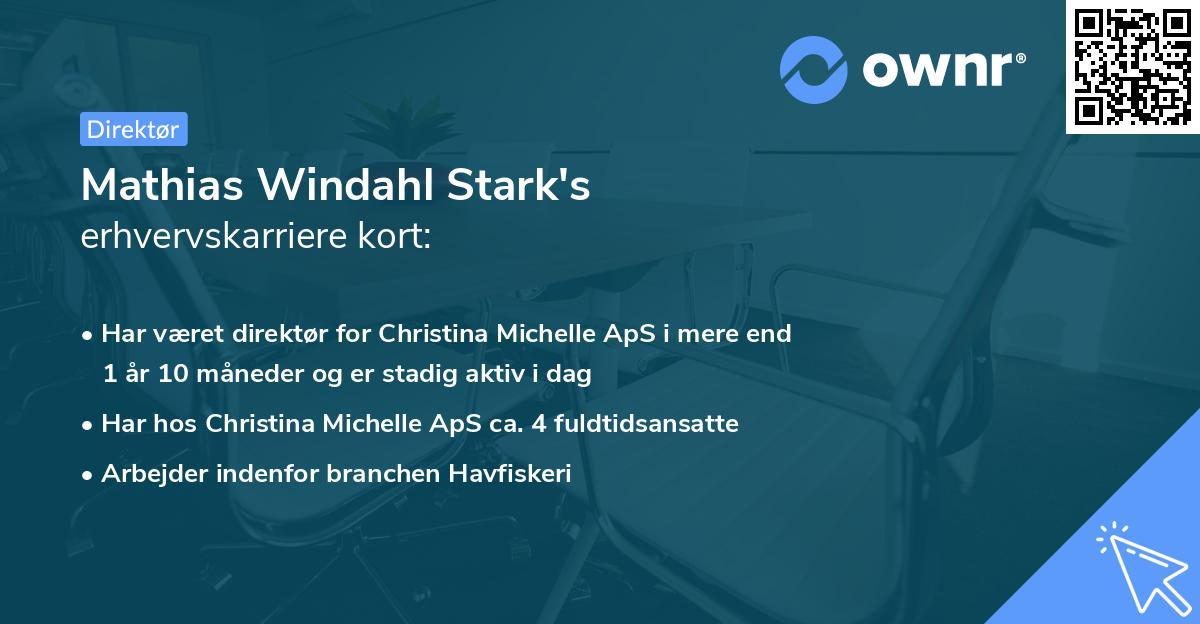 Mathias Windahl Stark's erhvervskarriere kort