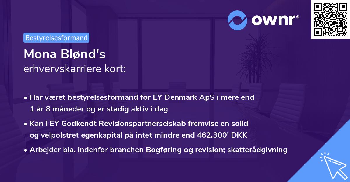 Mona Blønd's erhvervskarriere kort
