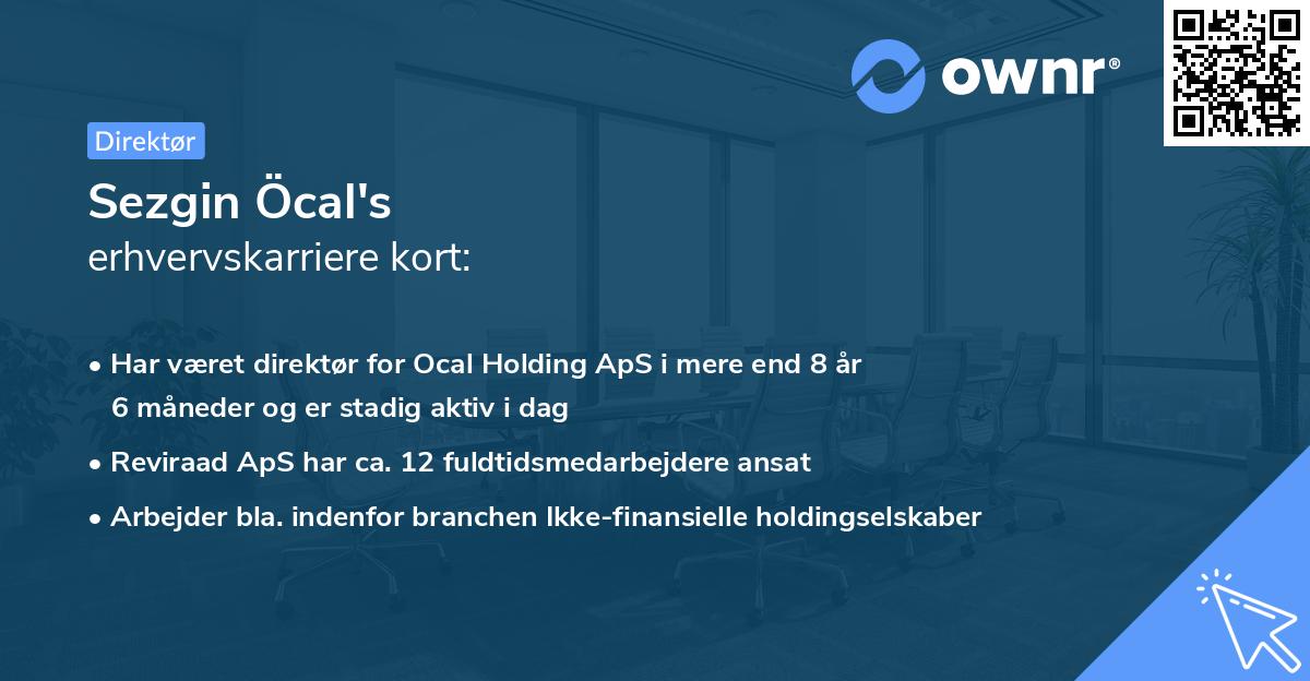Sezgin Öcal's erhvervskarriere kort
