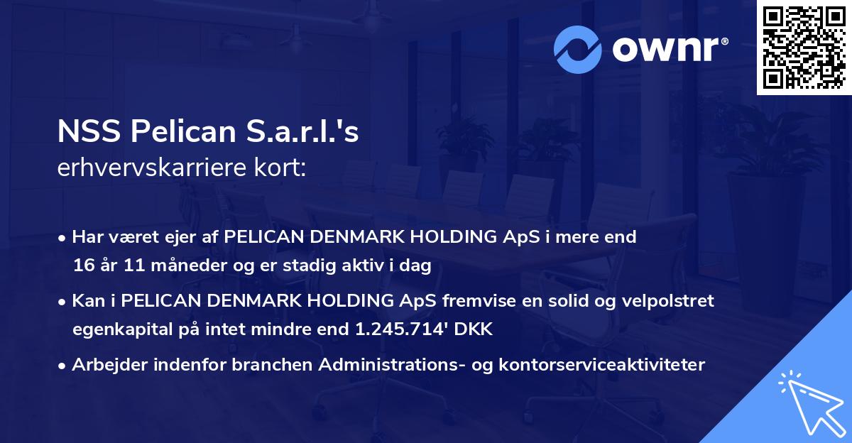 NSS Pelican S.a.r.l.'s erhvervskarriere kort
