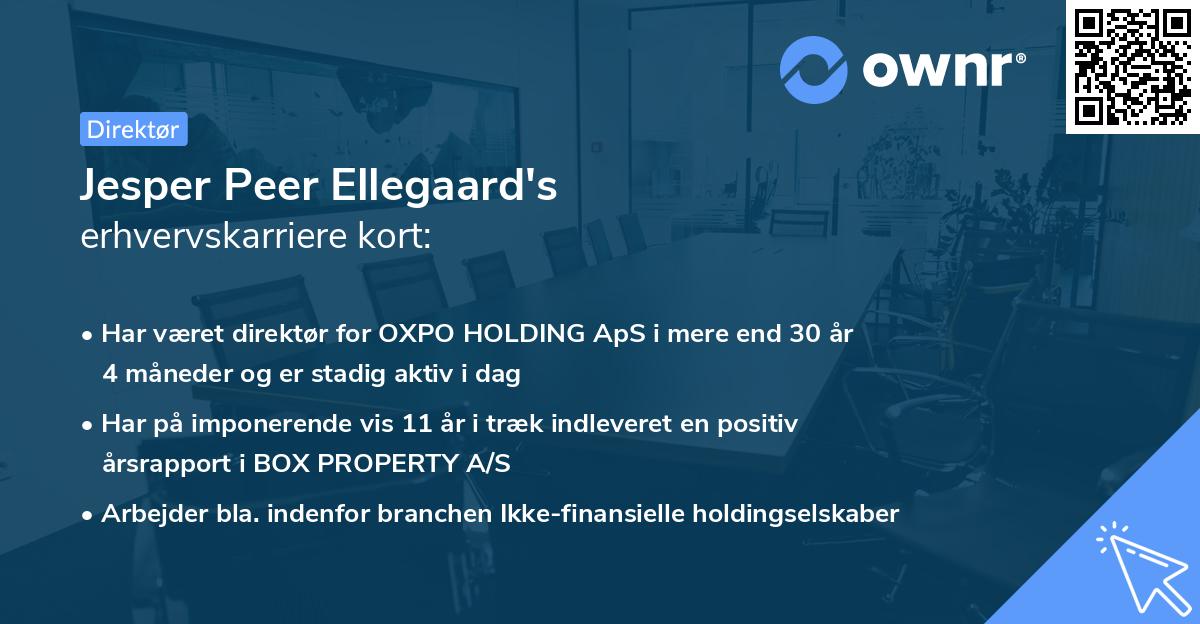 Jesper Peer Ellegaard's erhvervskarriere kort