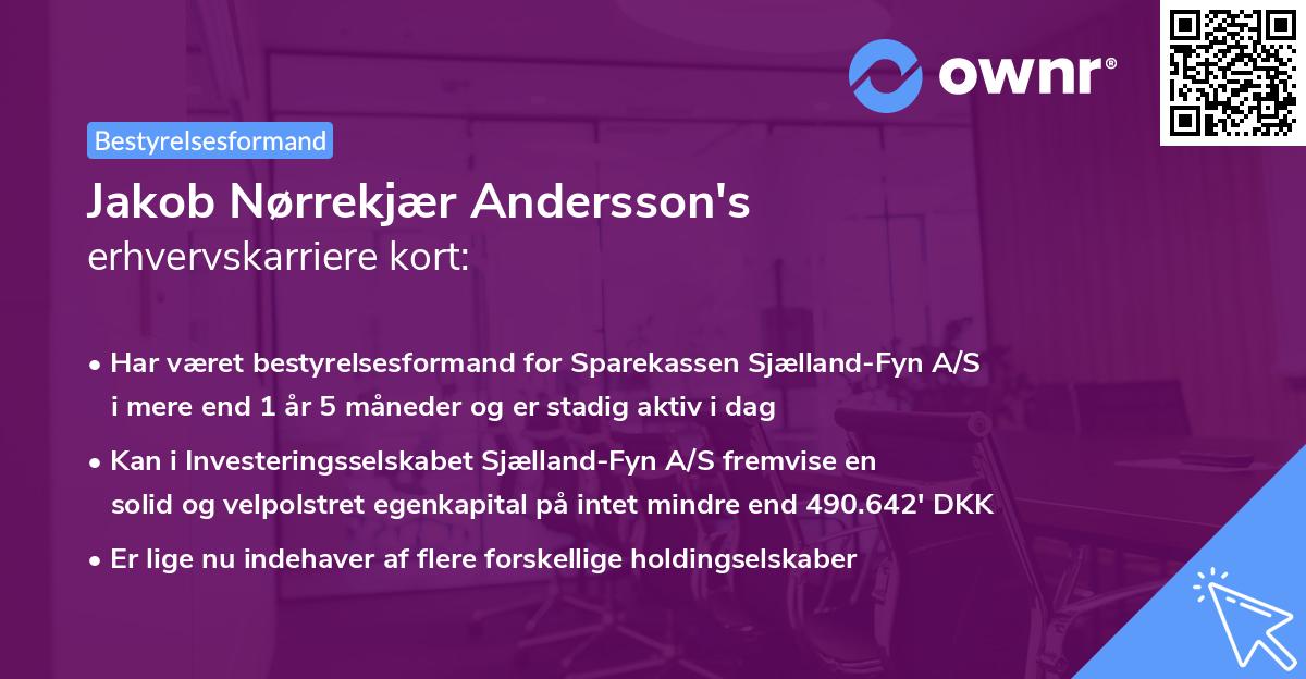 Jakob Nørrekjær Andersson's erhvervskarriere kort