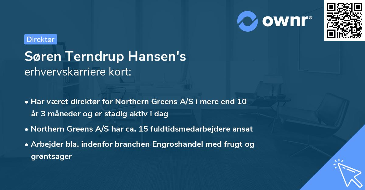 Søren Terndrup Hansen's erhvervskarriere kort
