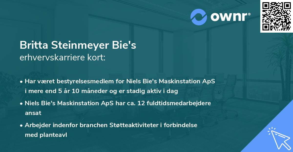 Britta Steinmeyer Bie's erhvervskarriere kort