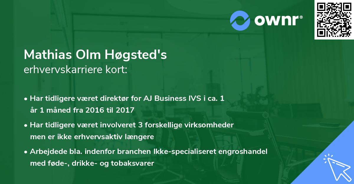 Mathias Olm Høgsted's erhvervskarriere kort