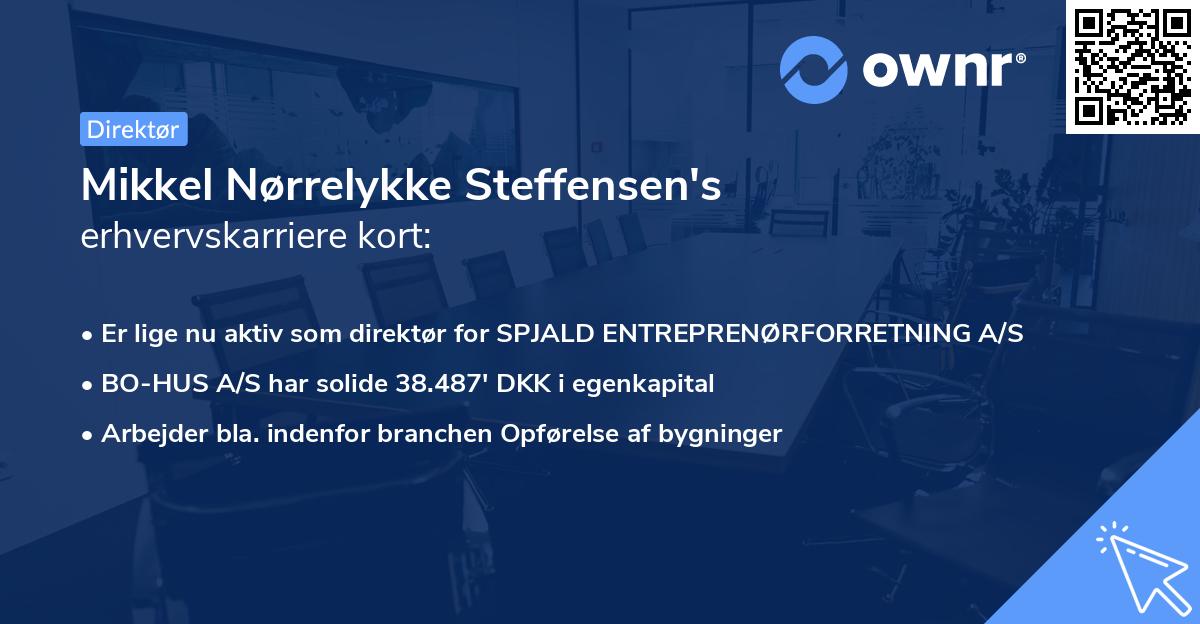 Mikkel Nørrelykke Steffensen's erhvervskarriere kort