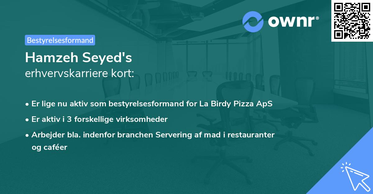 Hamzeh Seyed's erhvervskarriere kort