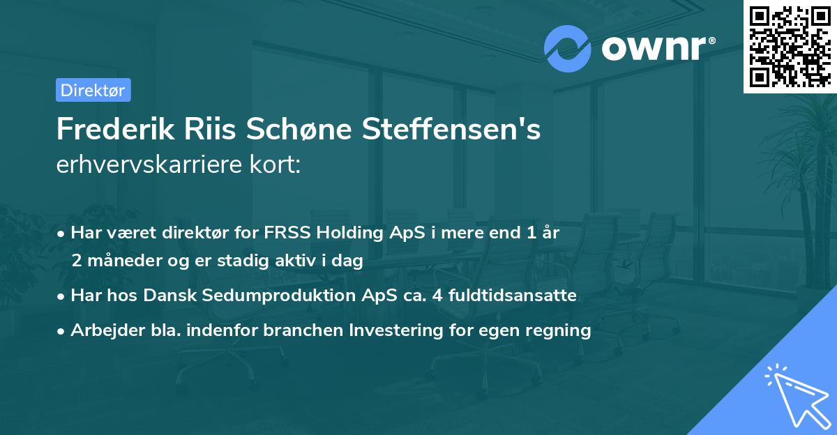 Frederik Riis Schøne Steffensen's erhvervskarriere kort