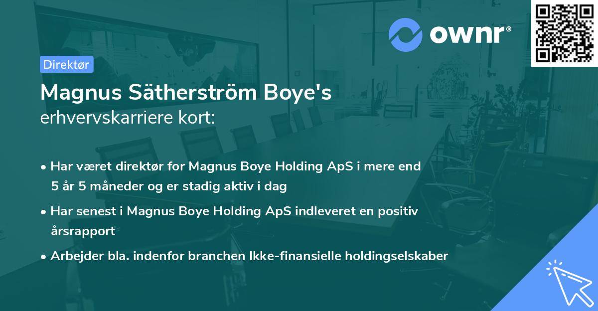 Magnus Sätherström Boye's erhvervskarriere kort