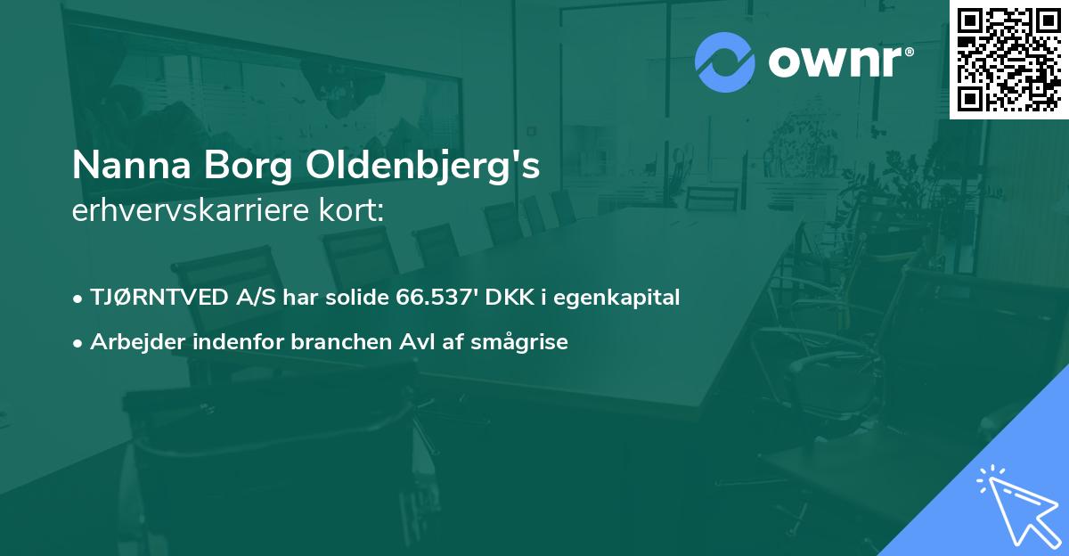 Nanna Borg Oldenbjerg's erhvervskarriere kort