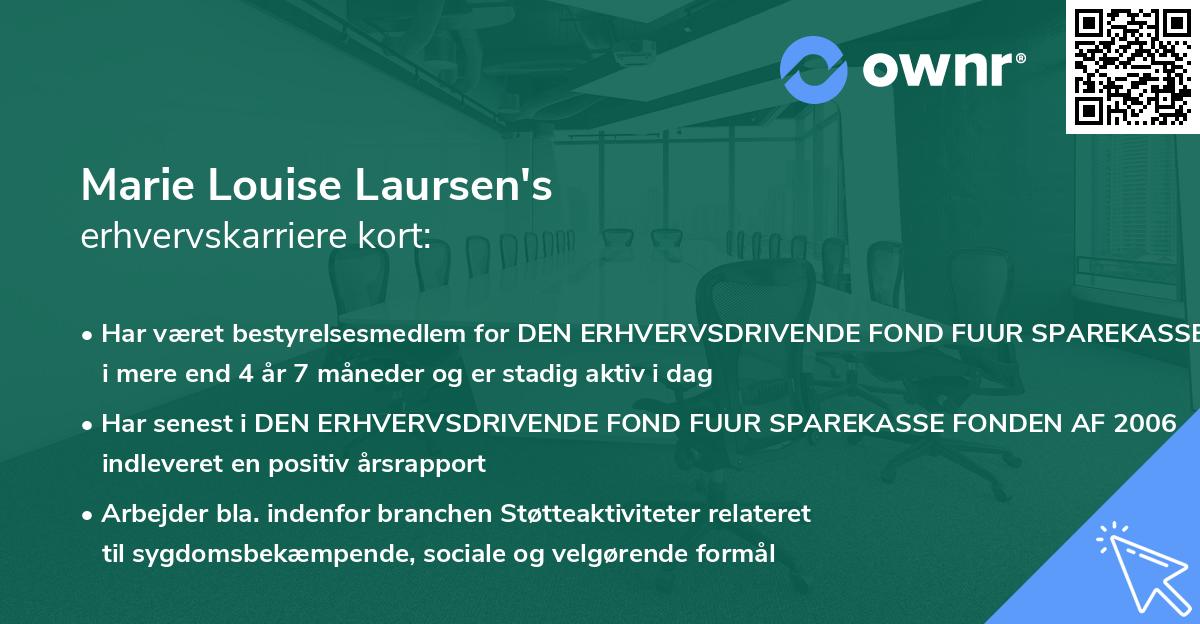 Marie Louise Laursen's erhvervskarriere kort