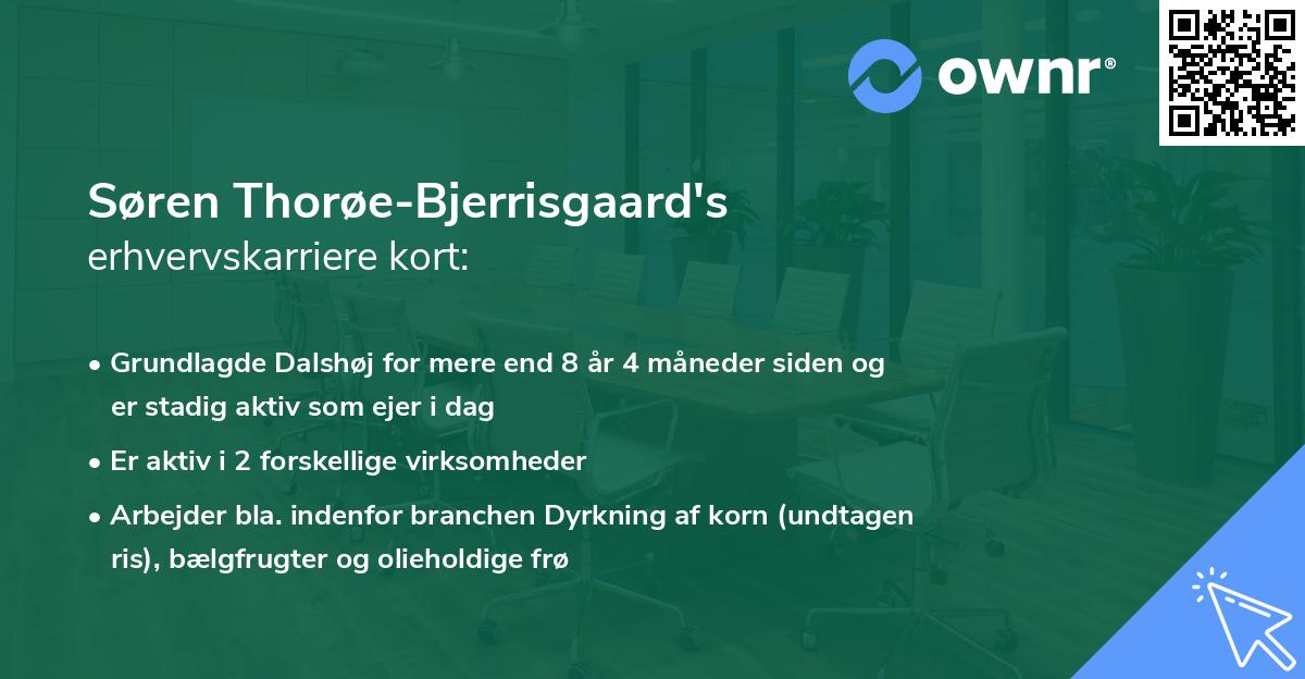 Søren Thorøe-Bjerrisgaard's erhvervskarriere kort